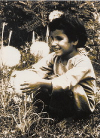boy feeling seed heads