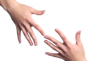 hands