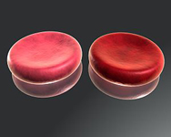 oxygenated and deoxygenated blood cells