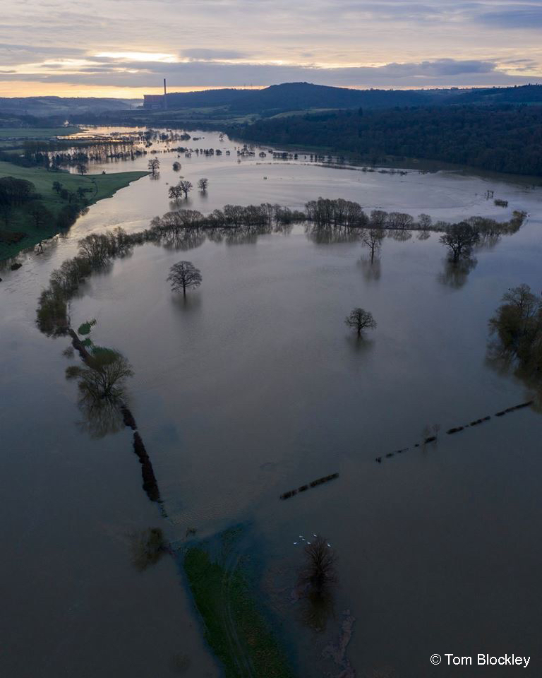 photograph of floodplain while flooded