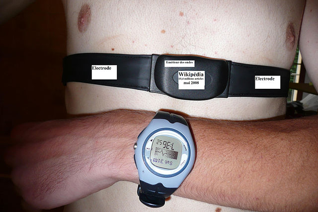 heart rate monitor