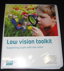 low vision toolkit