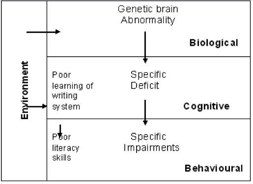 causal model of dyslexia