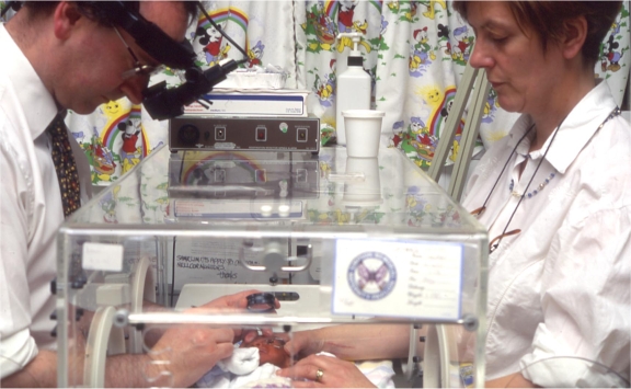 working with bay in incubator