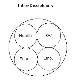 Intra-disciplinary