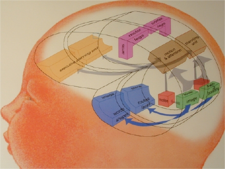 executive planning unit