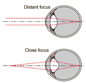 focusing for near