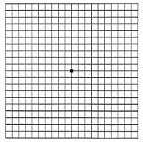 amsler chart