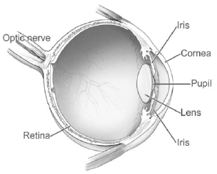 graphic of eye