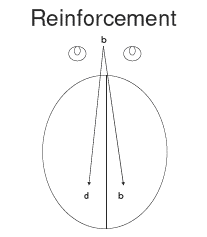 reinforcement
