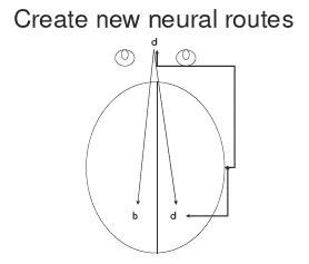 new neural routes