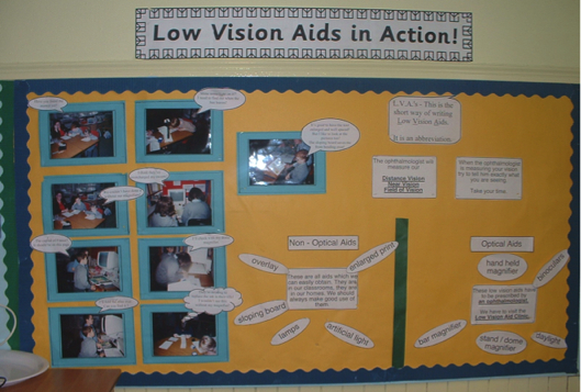 low vision aids poster