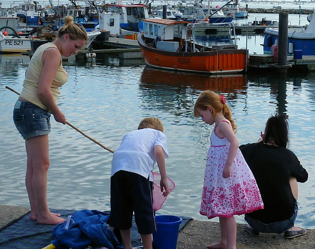 children harbour fishing