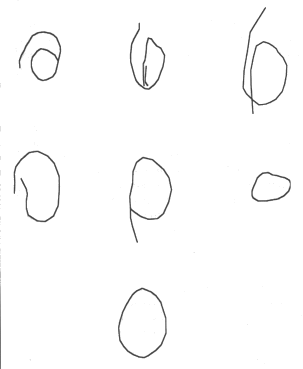 drawing an egg