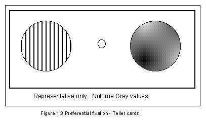 fig 1.3: Teller cards - two circles: one has vertical black and white lines; the other is uniform grey